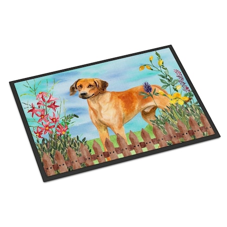 Carolines Treasures Rhodesian Ridgeback Spring Indoor or Outdoor Mat - 24 x 36 in. CK1238JMAT